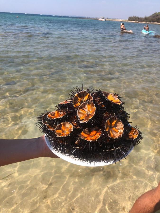 Salento Casa Vacanza Il Focolare トルキアローロ エクステリア 写真