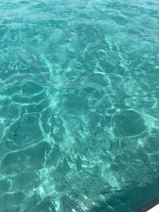 Salento Casa Vacanza Il Focolare トルキアローロ エクステリア 写真