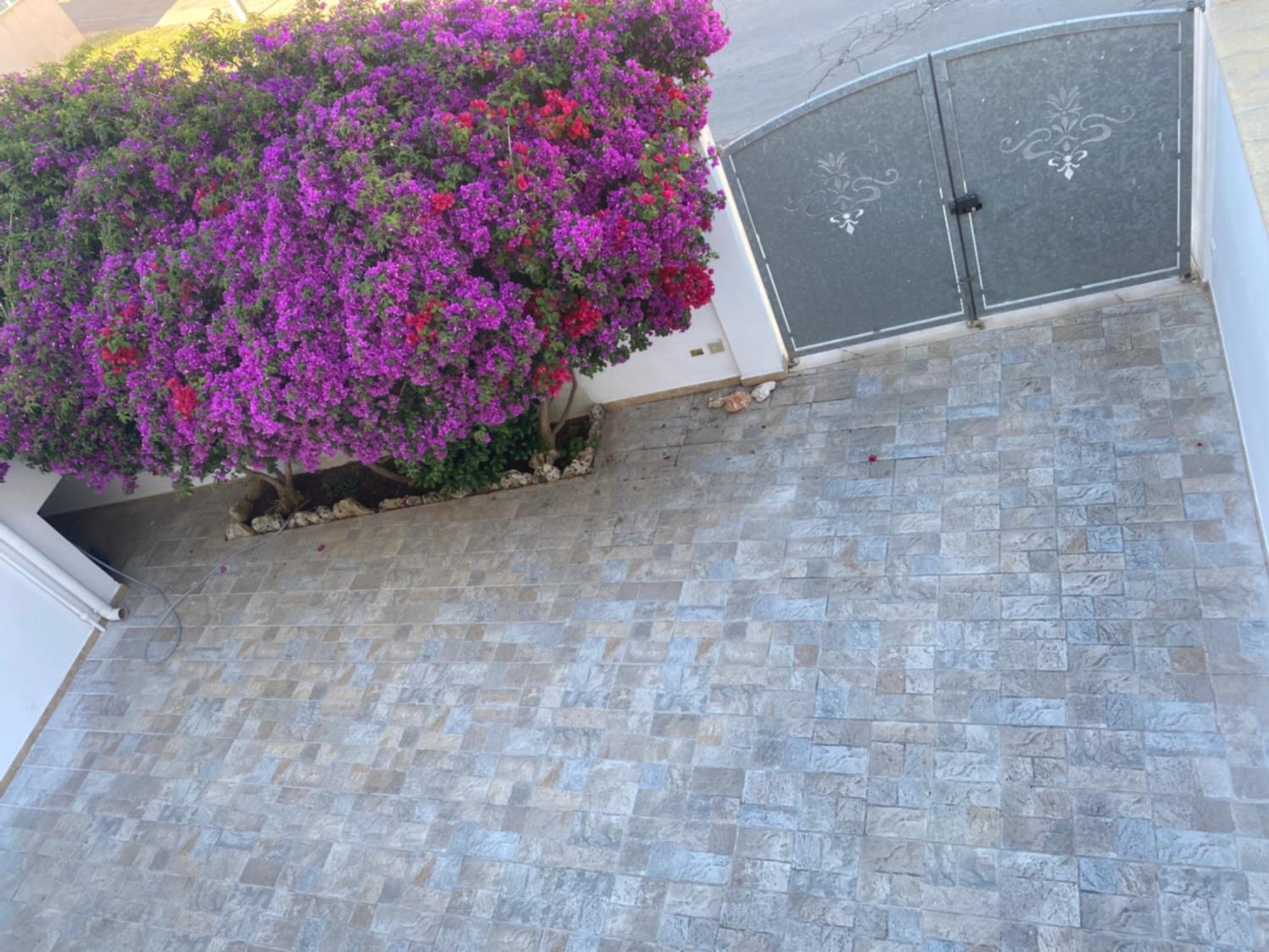 Salento Casa Vacanza Il Focolare トルキアローロ エクステリア 写真
