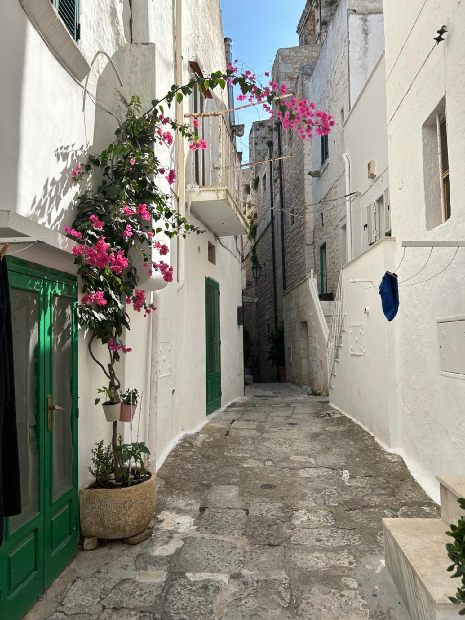 Salento Casa Vacanza Il Focolare トルキアローロ エクステリア 写真